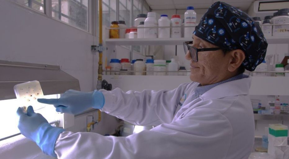 Proyecto de la Facultad de Ciencias Biológicas de la UNMSM apunta a combatir la resistencia antimicrobiana